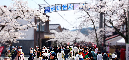 がいせん桜通り