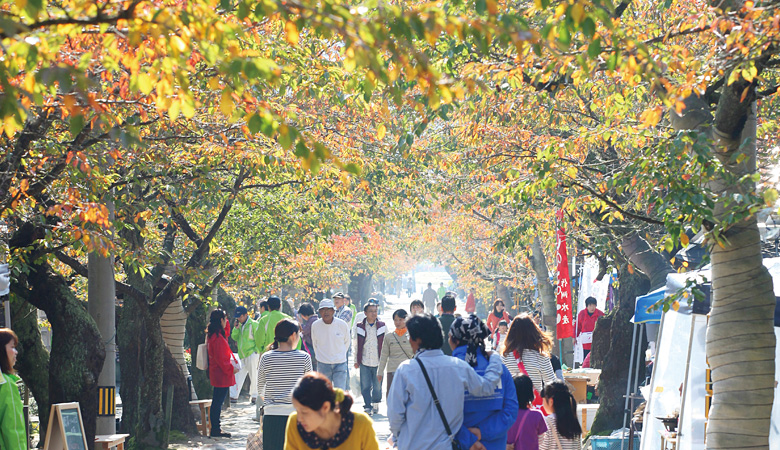 秋のがいせん桜通り