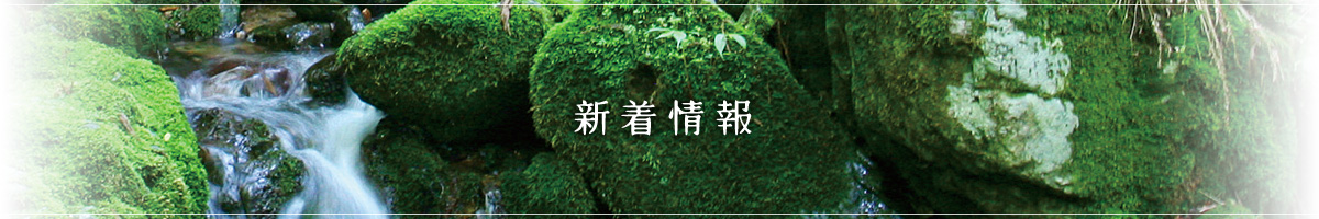 新着情報
