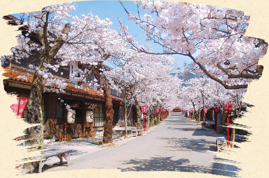 がいせん桜まつり