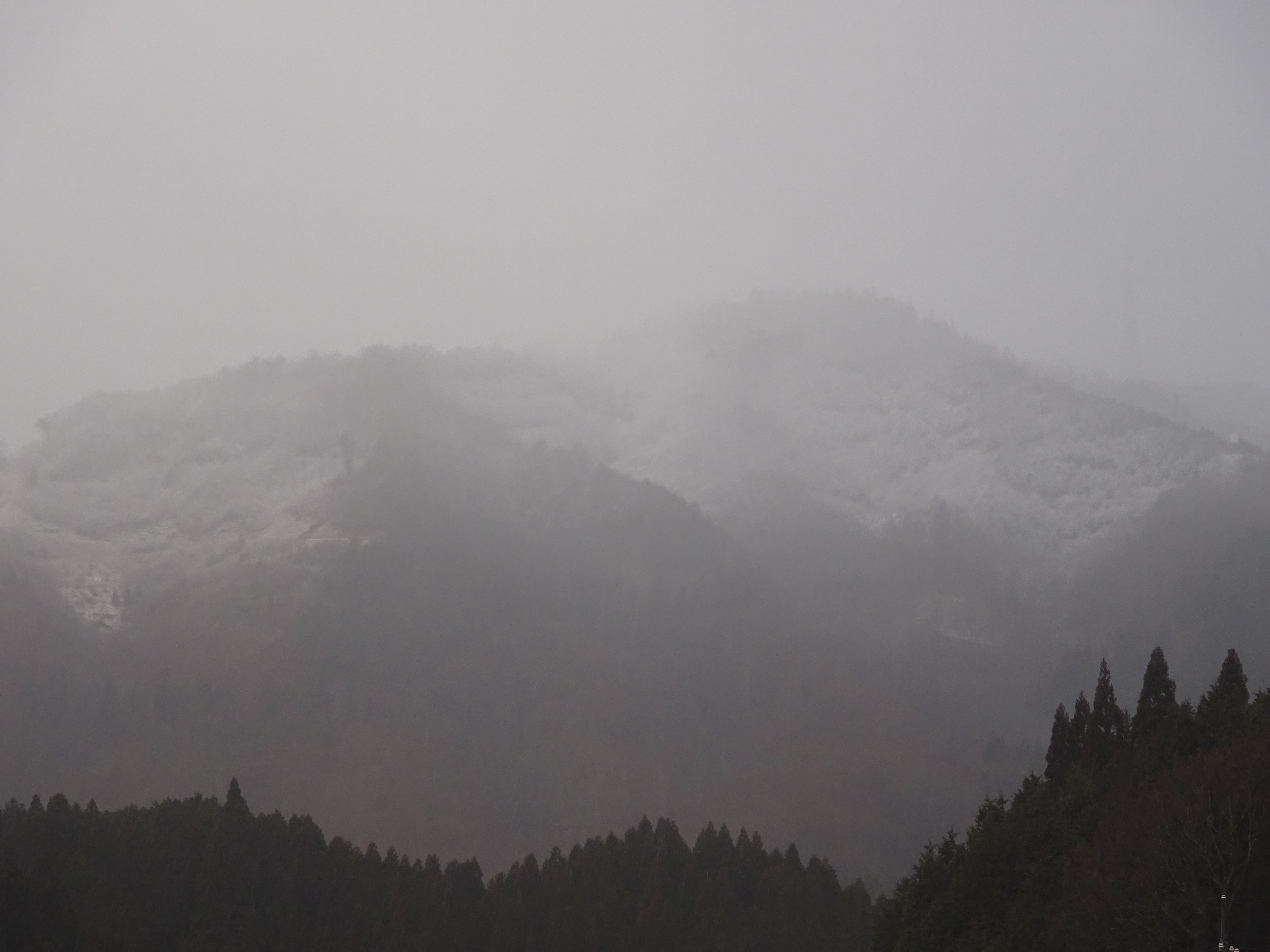 雪化粧