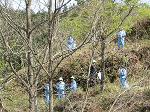 遠足・わらび採り