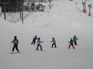 小学校全校スキー教室