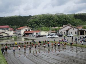 田植え