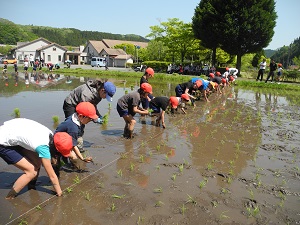 田植え・真庭支部春季総体